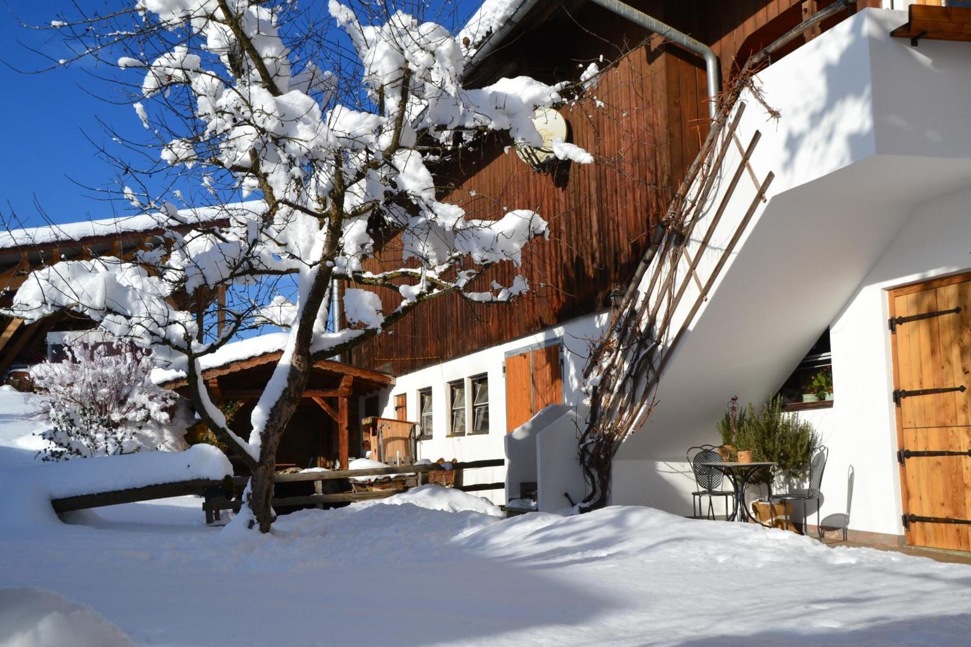 Appartement Biobauernhof Schuster à Hopfgarten im Brixental Extérieur photo